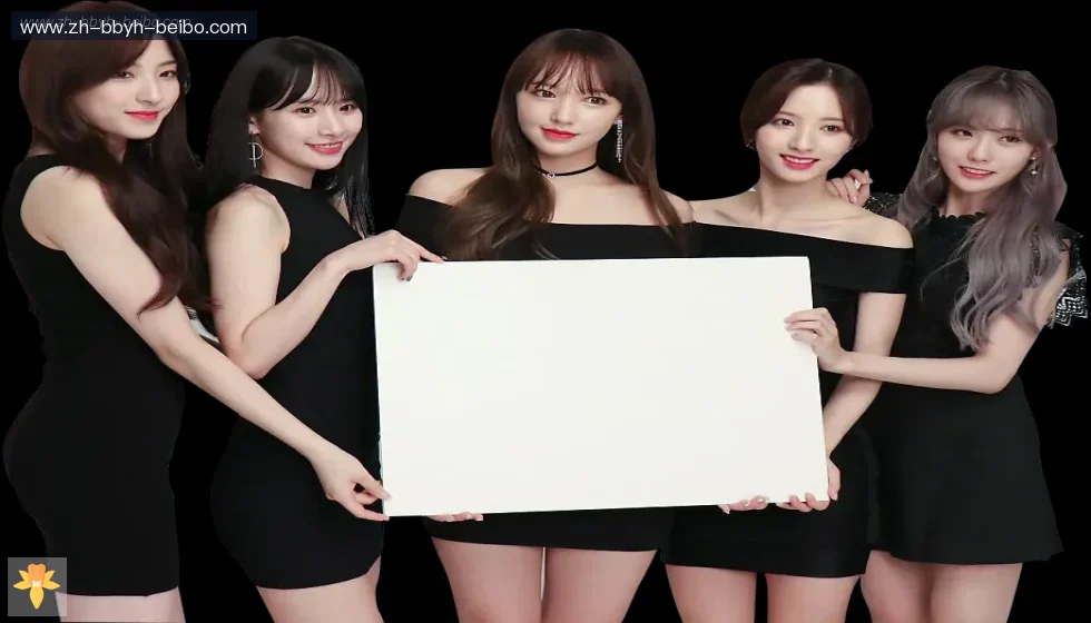BB体育 banner